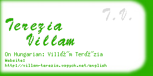 terezia villam business card